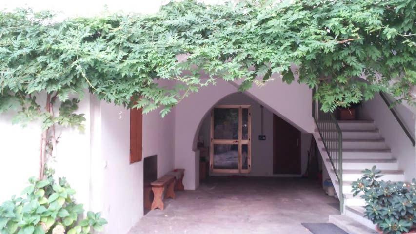 Apartment Masi Lasino