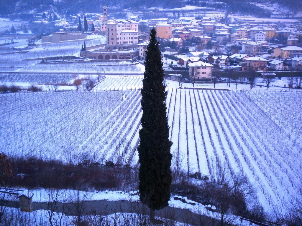 Masi Apartment Lasino