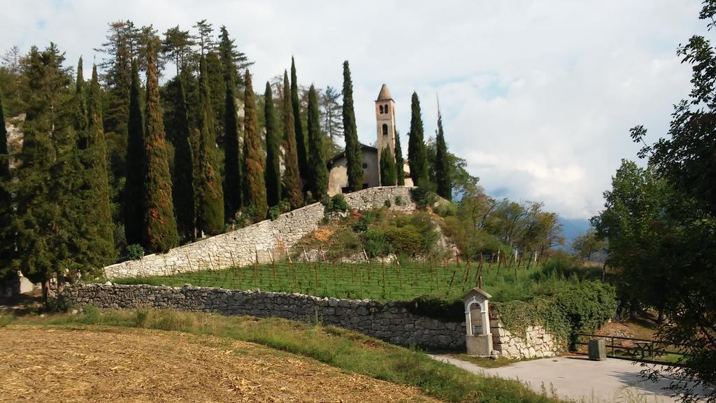 Masi * Lasino